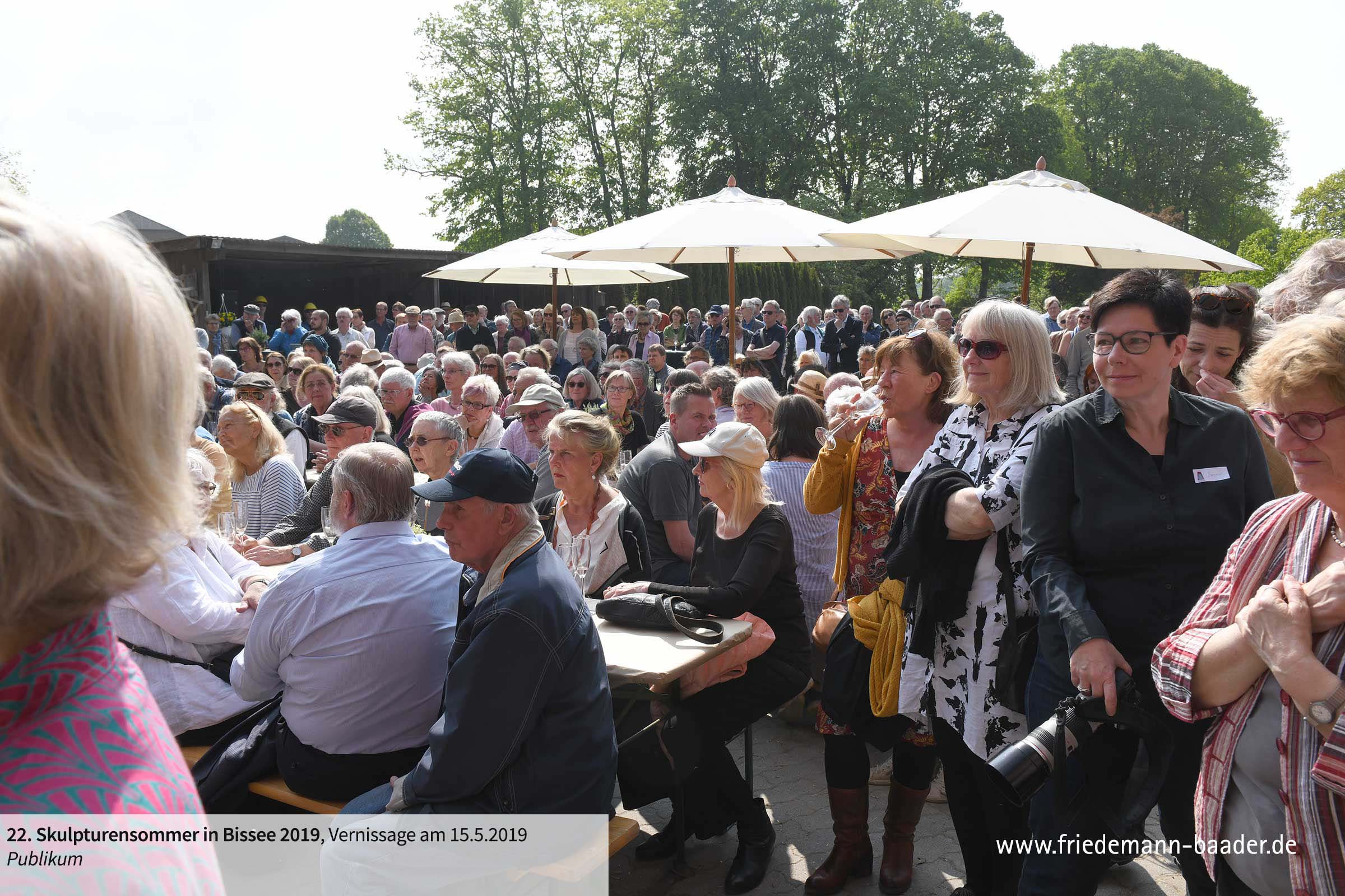 Skulpturensommer Bissee 2019 - Fotobuch - Friedemann Baader